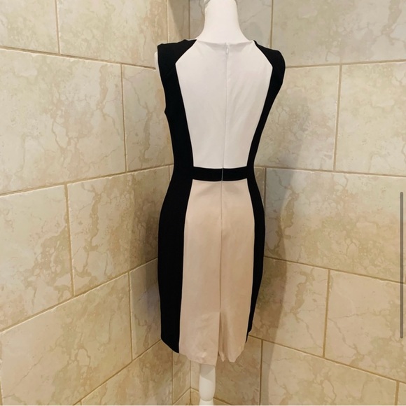 WHBM Sleeveless V-Neck Colorblock Sheath Dress Size 6 - Picture 8 of 9